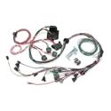 Painless Wiring 65141 - Painless Performance PERFECT Engine Management Systems