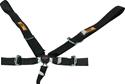 RCI Racing 9210CD - RCI Camlock Harnesses