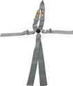 RCI Racing 9211CPL - RCI Platinum Series Racing Harnesses