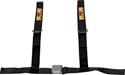 RCI Racing 9450D - RCI Off-Road Competition Belts