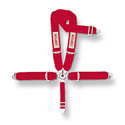 Simpson Camlock Driver Restraint Systems