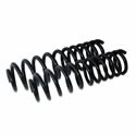SLP Performance Suspension Lowering Springs