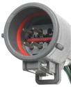 Standard Motor Products TC498 - Standard Motor Products Wiring & Lights