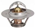 Click here for more information about Stant Thermostats