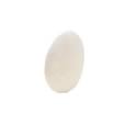 SAS Safety Corp SA1060-00 - SAS Safety Corp. Replacement Cartridges and Filters