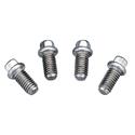 Summit Racing SUM-G1490 - Summit Racing® Stainless Steel Header Bolts