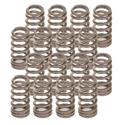 Trick Flow Specialties TFS-16982-16 - Trick Flow® Track Max® Pacaloy Valve Springs