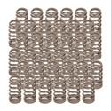 Trick Flow Specialties TFS-15411-32 - Trick Flow® Valve Springs