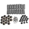 Trick Flow Specialties TFS-2500500 - Trick Flow® Valve Spring Upgrade Kits for Ford 4.6L/5.4L 2V Engines
