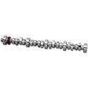 Trick Flow Specialties TFS-51402001 - Trick Flow® Track Max® Hydraulic Roller Camshafts for Ford 5.0L