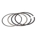 Total Seal Piston Rings T3690-30 - Total Seal TS1 Street and Race Piston Rings