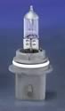 Wagner TruView Bulbs