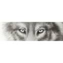 VantagePoint Rear Window Graphics 020123L - Vantage Point Concepts Rear Window Graphic Kits