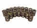 COMP Cams 995-16 - COMP Cams Valve Springs