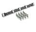 Lunati 60100LK - Lunati Voodoo Cam and Lifter Kits