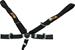 RCI Racing 9210CD - RCI Camlock Harnesses