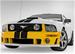 Roush Performance 401422 - Roush Mustang Front Fascias