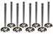 Summit Racing SUM-V8010-8 - Summit Racing® Race Valves for Chevrolet