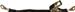 Allstar Performance ALL10192 - Allstar Performance Ratcheting Tie-Downs