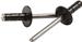 Allstar Performance ALL18091 - Allstar Performance Multi-Grip Rivets