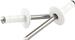 Allstar Performance ALL18092 - Allstar Performance Multi-Grip Rivets