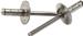 Allstar Performance ALL18094 - Allstar Performance Multi-Grip Rivets