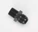 Aeromotive 15616 - Aeromotive AN to NPT Adapter Fittings
