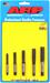 ARP 911-0006 - ARP Thread Cleaning Chaser Sets