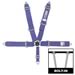 RJS Racing Equipment 30298-19-063 - RJS Camlock Quick Release Harnesses