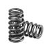 COMP Cams 26113-16 - COMP Cams Valve Springs