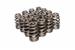 COMP Cams 26120-16 - COMP Cams Valve Springs