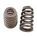 COMP Cams 26981-16 - COMP Cams Valve Springs
