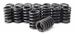 Click here for more information about COMP Cams 910-16 - COMP Cams Valve Springs