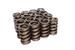 Crower Dual Valve Springs