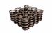 Click here for more information about COMP Cams 978-16 - COMP Cams Valve Springs