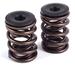 Click here for more information about Crane Cams 11310-1 - Crane Valve Spring and Retainer Kits