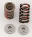 Crane Cams 10308-1 - Crane Valve Spring and Retainer Kits