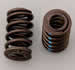 Click here for more information about Crane Cams 99893-12 - Crane Double Valve Springs