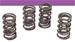 Crane Premium Valve Springs