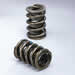 Crane Cams 99895-16 - Crane Double Valve Springs