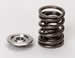 Click here for more information about Crower Performance Valve Spring and Retainer Kits