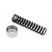 Mopar Performance P4286571 - Mopar Performance Oil Pressure Relief Springs