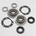 Click here for more information about Mopar Performance P5249444 - Mopar Performance Rear Axle Bearing Sets