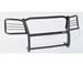 Click here for more information about Dee Zee DZ500115 - Dee Zee Ultra Black Euro Grille Guards