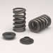 Edelbrock 5794 - Edelbrock Sure Seat Valve Spring Kits