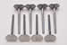 Edelbrock 9765 - Edelbrock Stainless Steel Valves