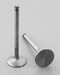 Edelbrock 9766 - Edelbrock Stainless Steel Valves