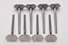Edelbrock 9775 - Edelbrock Stainless Steel Valves