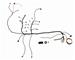 Ford Racing M-12071-A50 - Ford Racing Multiport EFI Wiring Harness Systems