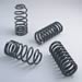 Ford Racing M-5300-C - Ford Racing Lowering Spring Kits